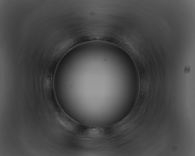 X0000091690126200708301548