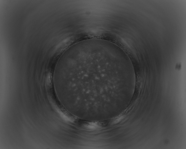 X0000091690130200708301548