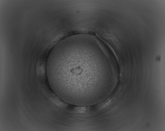 X0000091690131200708301548