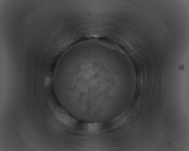 X0000091690134200708301548