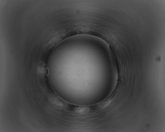 X0000091690135200708301547