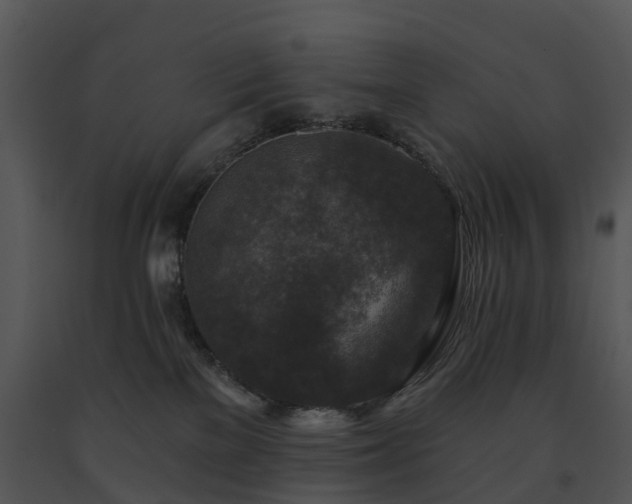 X0000091690137200708301547