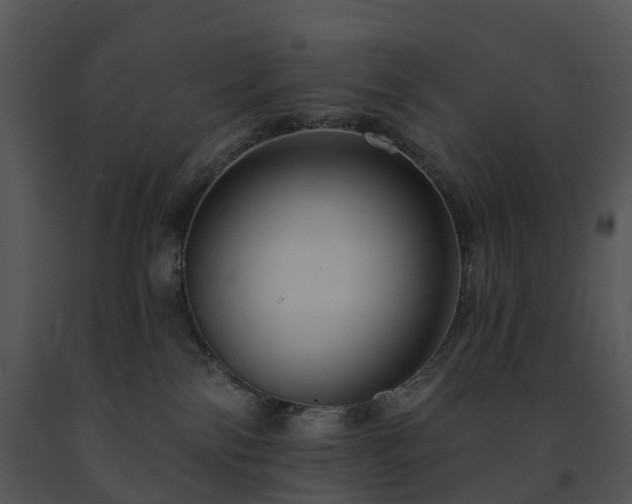 X0000091690138200708301547