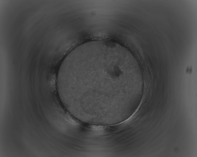X0000091690144200708301547