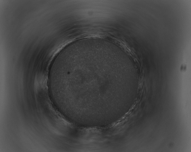 X0000091690146200708301547