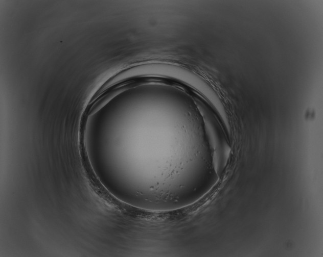 X0000091690148200708301547