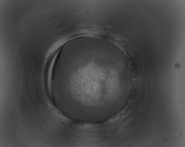 X0000091690149200708301547