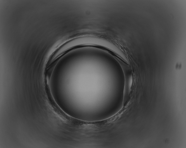X0000091690150200708301547
