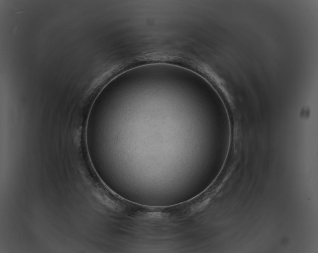 X0000091690153200708301547