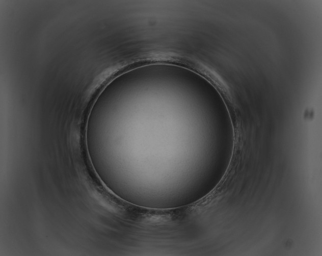 X0000091690155200708301547