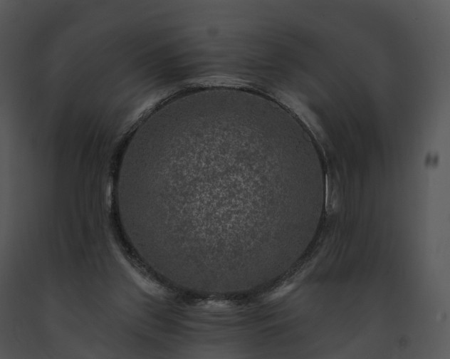 X0000091690157200708301547
