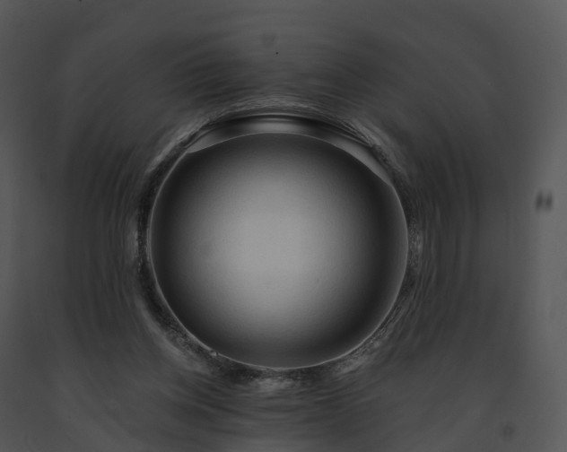 X0000091690158200708301547