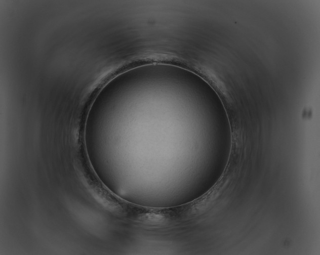 X0000091690159200708301547