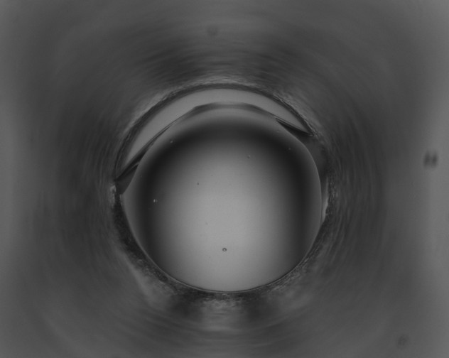 X0000091690160200708301547
