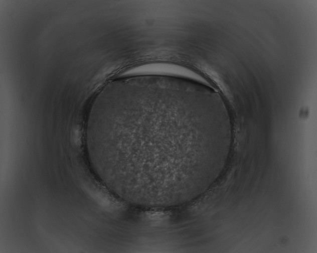 X0000091690161200708301547