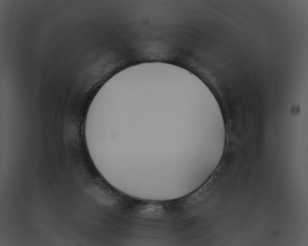 X0000091690162200708301547