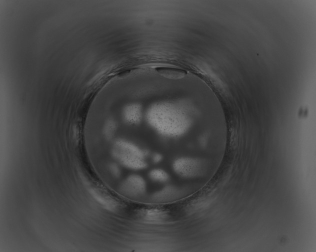 X0000091690165200708301547