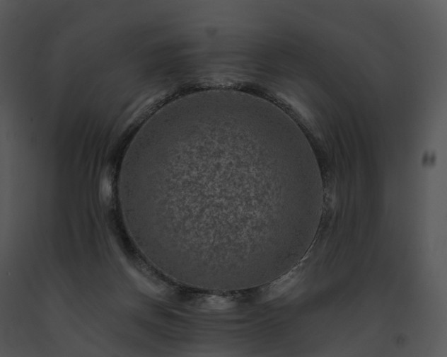 X0000091690166200708301547