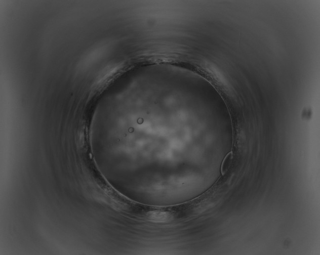 X0000091690169200708301547