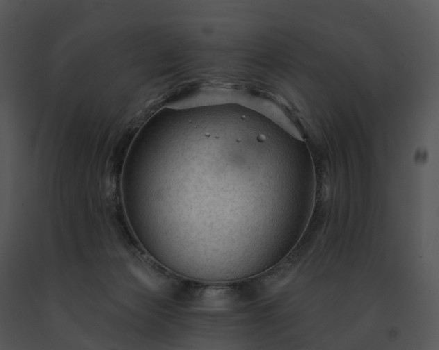 X0000091690173200708301547