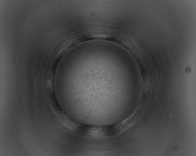 X0000091690175200708301547
