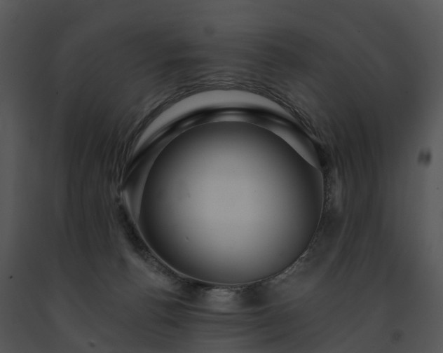 X0000091690176200708301547