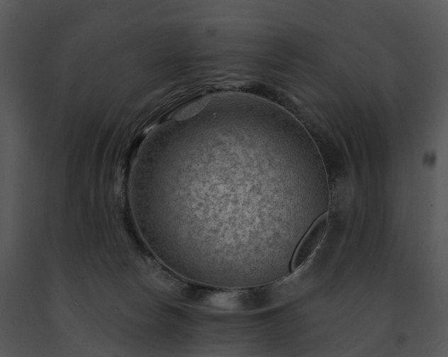 X0000091690178200708301547