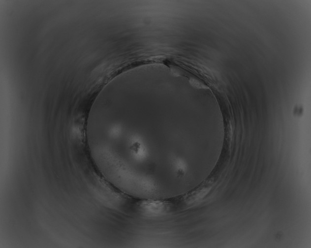 X0000091690181200708301547