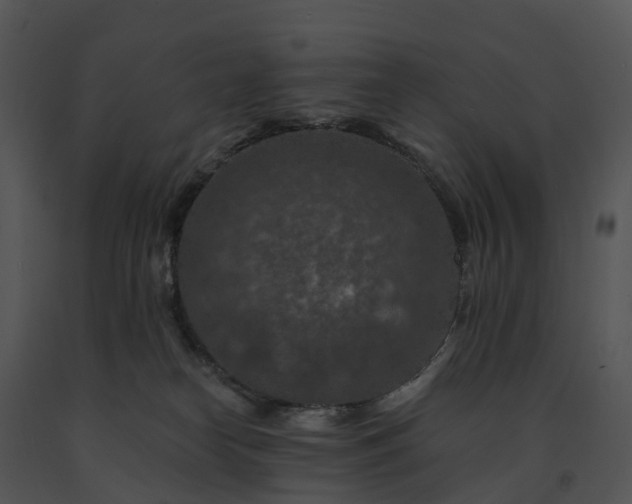 X0000091690182200708301547