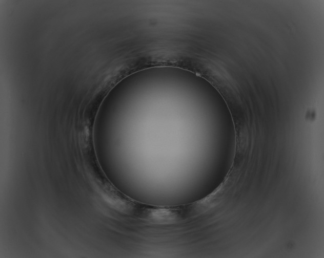 X0000091690183200708301547