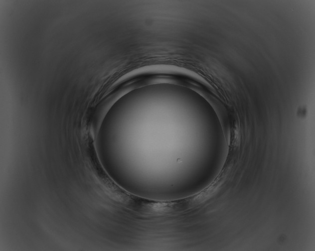 X0000091690184200708301547