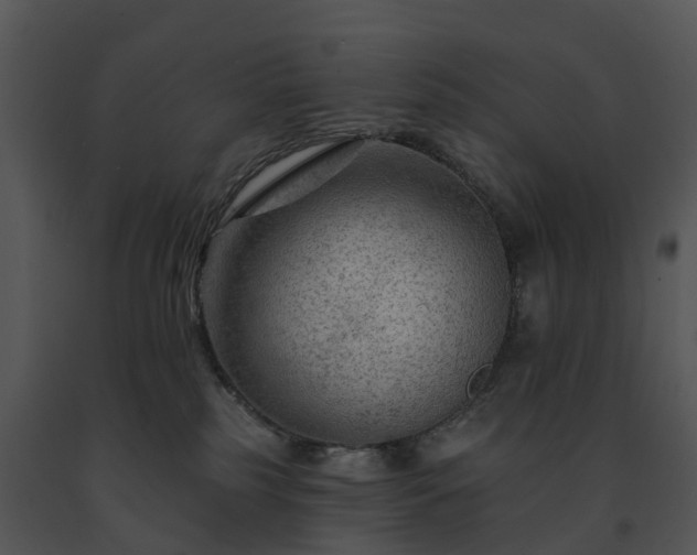 X0000091690185200708301547