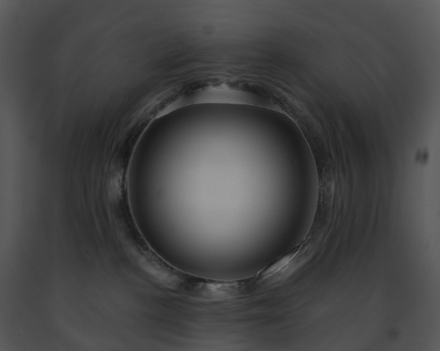 X0000091690188200708301547