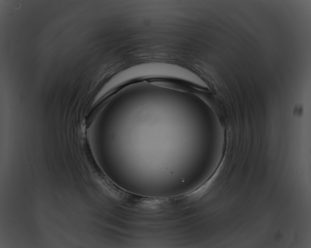 X0000091690190200708301547