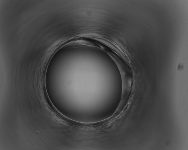 X0000091690193200708301547