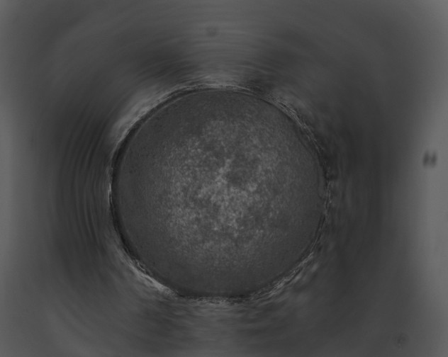 X0000091690194200708301547