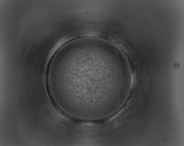 X0000091690195200708301547