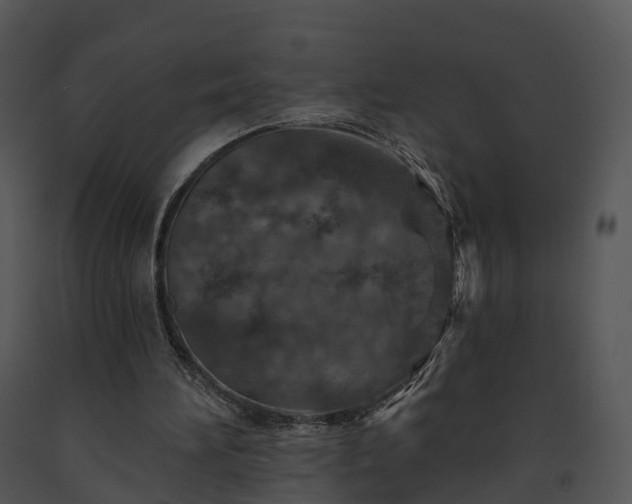 X0000091690196200708301547