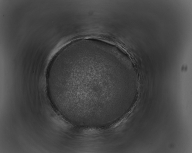 X0000091690198200708301547