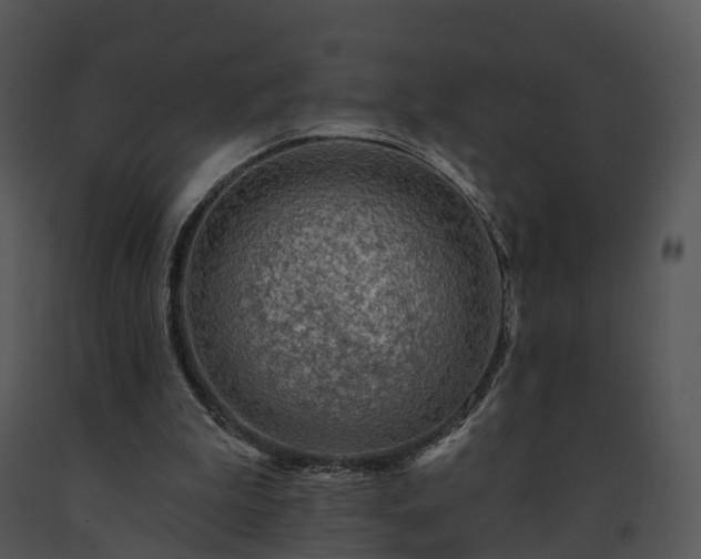 X0000091690199200708301547