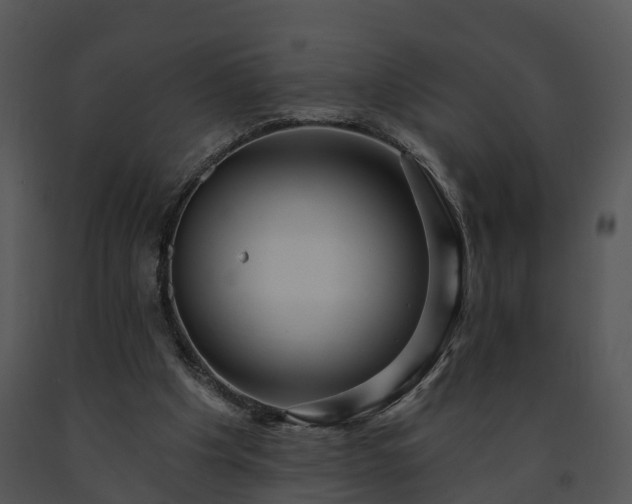 X0000091690201200708301547