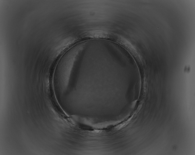 X0000091690202200708301547