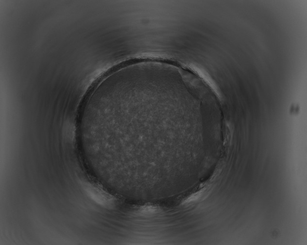 X0000091690204200708301547