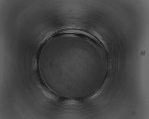 X0000091690205200708301547