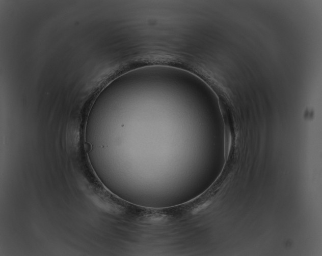 X0000091690206200708301547