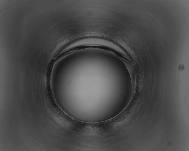 X0000091690207200708301547