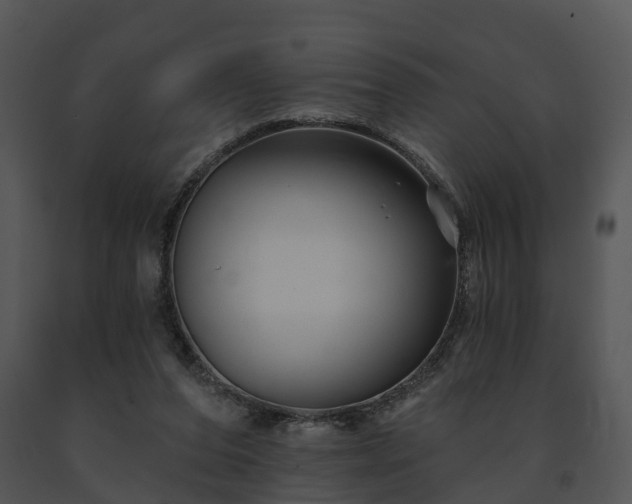 X0000091690208200708301547