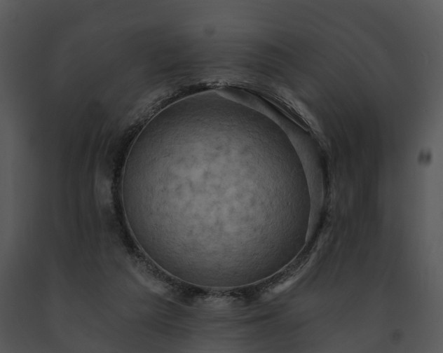 X0000091690209200708301547