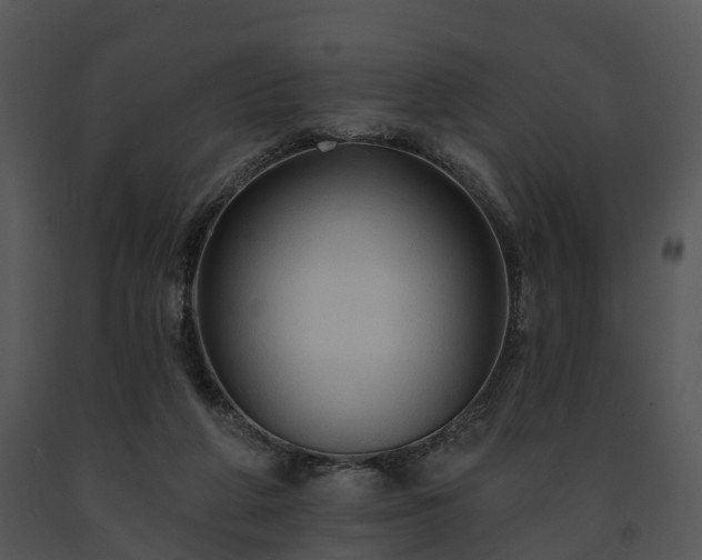 X0000091690210200708301547