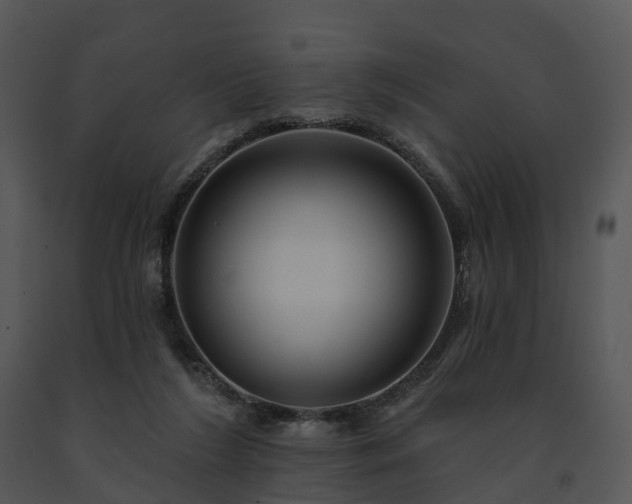 X0000091690212200708301547